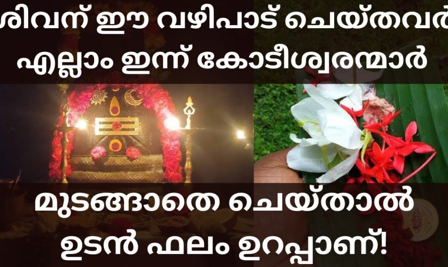 ഭഗവാന്റെ അനുഗ്രഹം എന്നും നമ്മുടെ ജീവിതത്തിൽ തങ്ങിനിൽക്കാൻ ഇതു മുടങ്ങാതെ ചെയ്യുക.