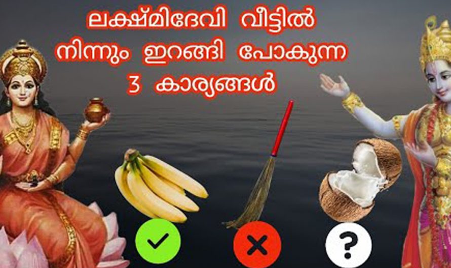 വാസ്തുശാസ്ത്രപ്രകാരം നമ്മുടെ വീടുകളിൽ ഉണ്ടാകുന്ന ബുദ്ധിമുട്ടുകളുടെ കാരണങ്ങൾ തിരിച്ചറിയാം.