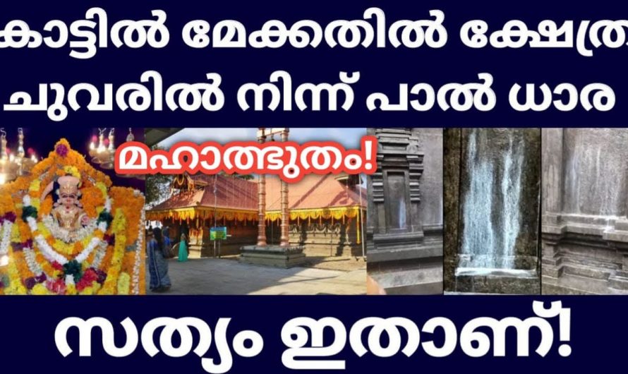 കാട്ടിൽ മേക്കതിൽ ദേവിയുടെ ഒരു അത്ഭുതം ജനലക്ഷങ്ങൾക്ക് അനുഗ്രഹമായി.