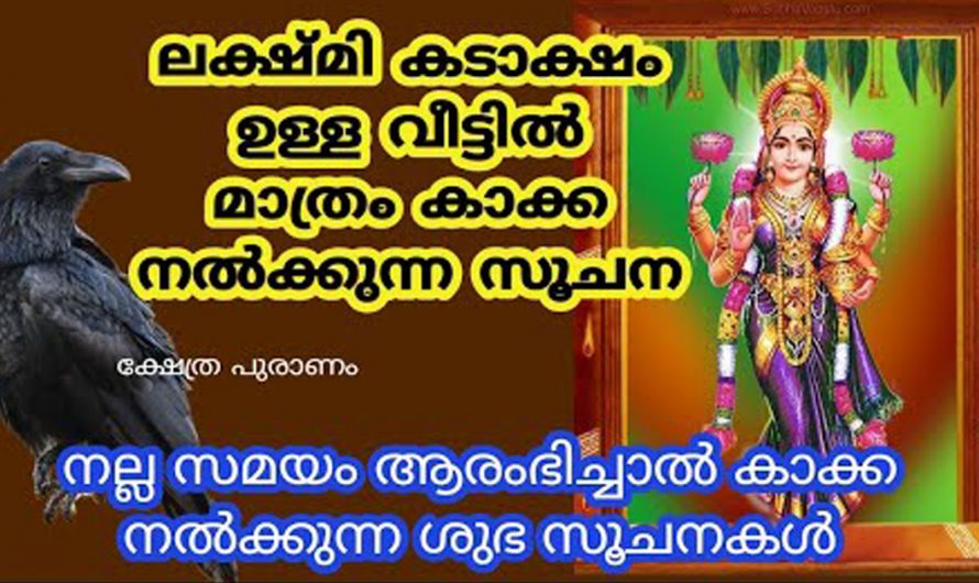 ലക്ഷ്മി ദേവിയുടെ കടാക്ഷവും സാന്നിധ്യവും നമ്മുടെ വീട്ടിൽ കാണിച്ചുതരുന്ന സൂചനകൾ