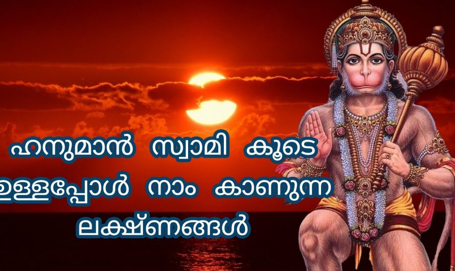 ഹനുമാൻ സ്വാമിയുടെ അനുഗ്രഹം നേരിട്ടുള്ളപ്പോൾ  നമ്മിൽ കാണുന്ന ലക്ഷണങ്ങളെ കുറിച്ച് ആരും കാണാതെ പോകരുതേ.