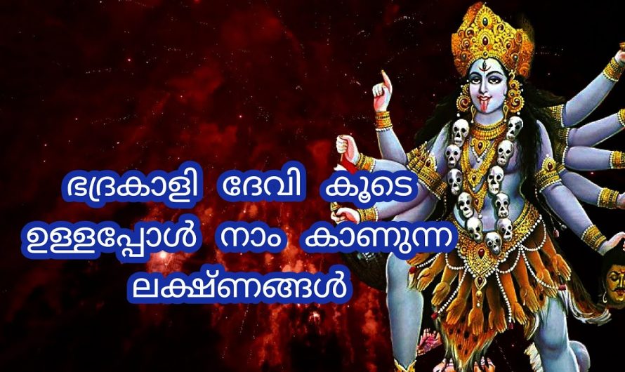 കാളി ദേവി മന്ത്രം ജപിക്കുമ്പോൾ ഇത്തരം അനുഭവങ്ങൾ ഉണ്ടാകാറുണ്ടോ ? ഇവ തിരിച്ചറിയാതെ പോകരുതേ .