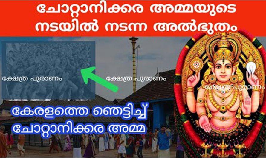 ചോറ്റാനിക്കര അമ്മയുടെ ശക്തി ആരും തിരിച്ചറിയാതെ പോകരുതേ. കണ്ടു നോക്കൂ…