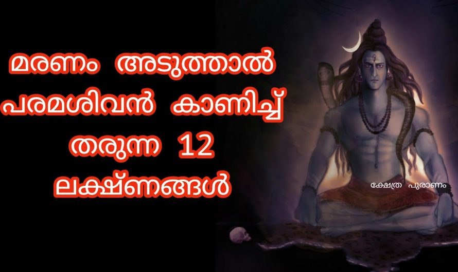 ഇത്തരം സൂചനകൾ നിങ്ങൾ കാണാറുണ്ടോ ? ഇത്തരം മരണത്തിന്റെ സൂചനകളെക്കുറിച്ച് ആരും തിരിച്ചറിയാതിരിക്കരുതേ .