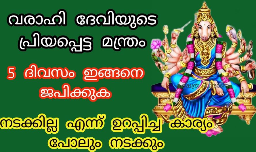 ജീവിതഭാരത്താൽ  തളരുന്ന അവസ്ഥയെ ആണോ നിങ്ങൾക്കുള്ളത്. എങ്കിൽ ഈ മന്ത്രം ജപിച്ച് അമ്മയെ വിളിച്ചാൽ മതി.