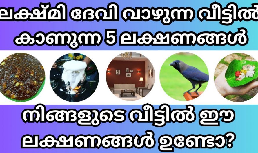 മഹാലക്ഷ്മി സാന്നിധ്യം ഉറപ്പുവരുത്താവുന്ന  ഇത്തരം ലക്ഷണങ്ങളെ ഇതുവരെയും അറിയാതെ പോയല്ലോ ഈശ്വരാ.