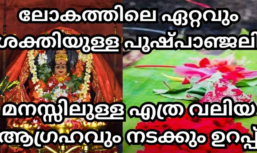 നമ്മുടെ ജീവിതത്തിലെ എല്ലാ ആഗ്രഹങ്ങളും സാധിക്കുന്നതിന്  ഈ ഒരു വഴിപാട് മാത്രം ചെയ്താൽ മതി. കണ്ടു നോക്കൂ