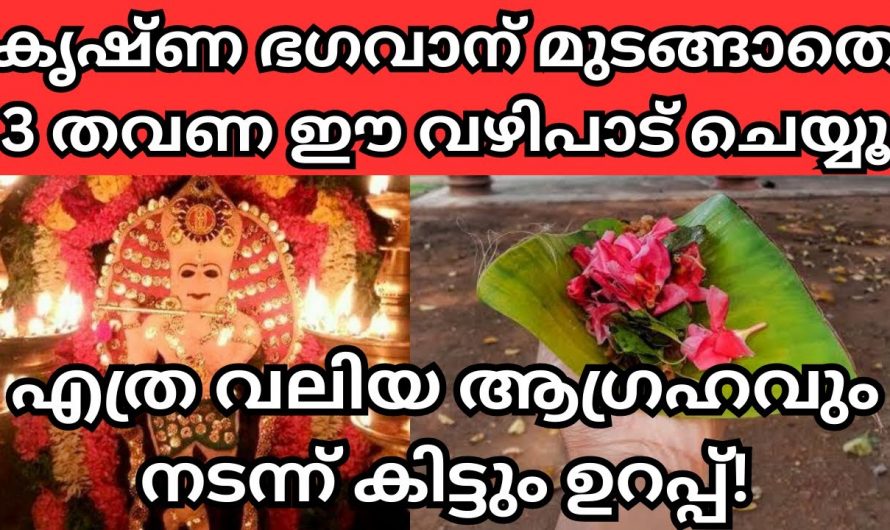 ആഗ്രഹസാഫല്യത്തിന് ഉള്ള ഈ വഴിപാട് ഇത്രയും കാലം അറിയാതെ പോയല്ലോ  ഈശ്വരാ