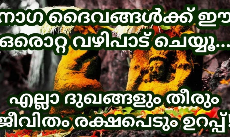 നാഗാരാധന വഴി നമ്മുടെ ജീവിതത്തിലേക്ക് ലഭിക്കുന്ന ഇത്തരം അനുഗ്രഹങ്ങളെ ആരും അറിയാതെ പോകരുതേ.