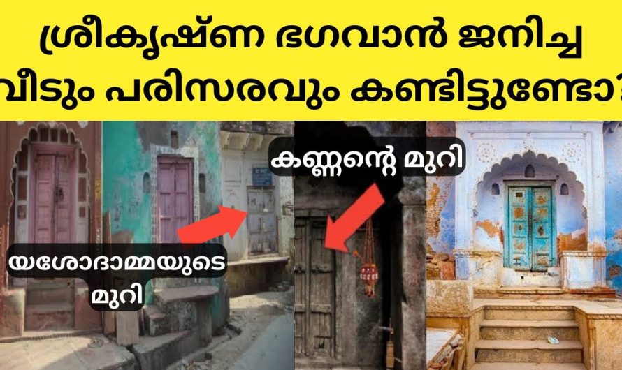 ശ്രീകൃഷ്ണ ഭഗവാന്റെ വൃന്ദാവനം കണ്ടിട്ടുണ്ടോ. ഇല്ലെങ്കിൽ ഇതൊന്നു കണ്ടു നോക്കൂ.