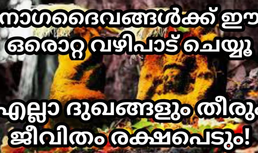 ജീവിതത്തിൽ ദോഷങ്ങൾ അനുഭവിക്കുന്നവരാണോ നിങ്ങൾ ? കണ്ടു നോക്കൂ.