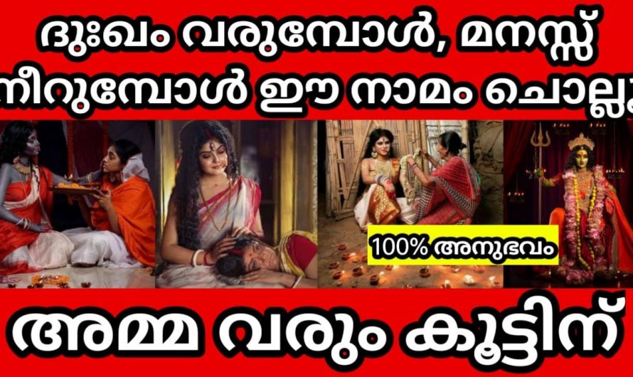 നിങ്ങളുടെ ജീവിതത്തിൽ നിങ്ങൾക്ക് സഹിക്കാൻ ആവാത്ത ദുഃഖങ്ങളും ദുരിതങ്ങളും നിങ്ങളെ ബുദ്ധിമുട്ടിക്കുന്നുണ്ടോ? അമ്മയോടുള്ള ഒരൊറ്റ പ്രാർത്ഥന മതി ഇതെല്ലാം അകന്നു  പോകാൻ.