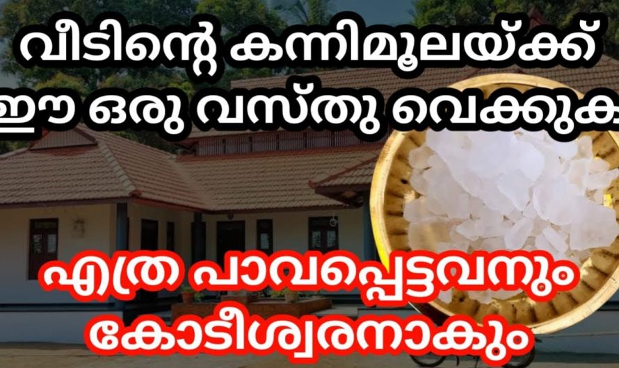 ഏത് പാവപ്പെട്ടവരെയും പണക്കാരൻ ആക്കാനുള്ള ഈ വിദ്യ ഒന്ന് കണ്ടു നോക്കൂ.