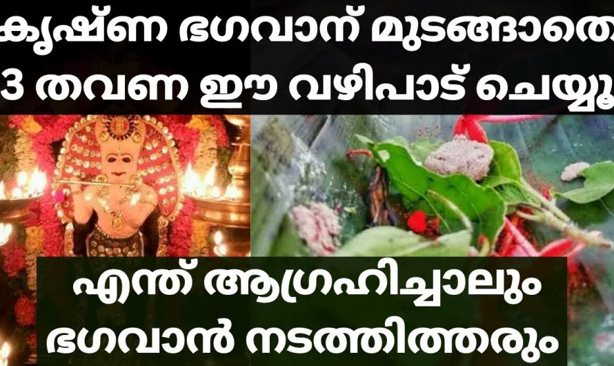 ഈ വഴിപാടുകളെ കുറിച്ച് അറിയാതെ പോയാൽ നഷ്ടം ആയിരിക്കും ഫലം.കണ്ടു നോക്കൂ.