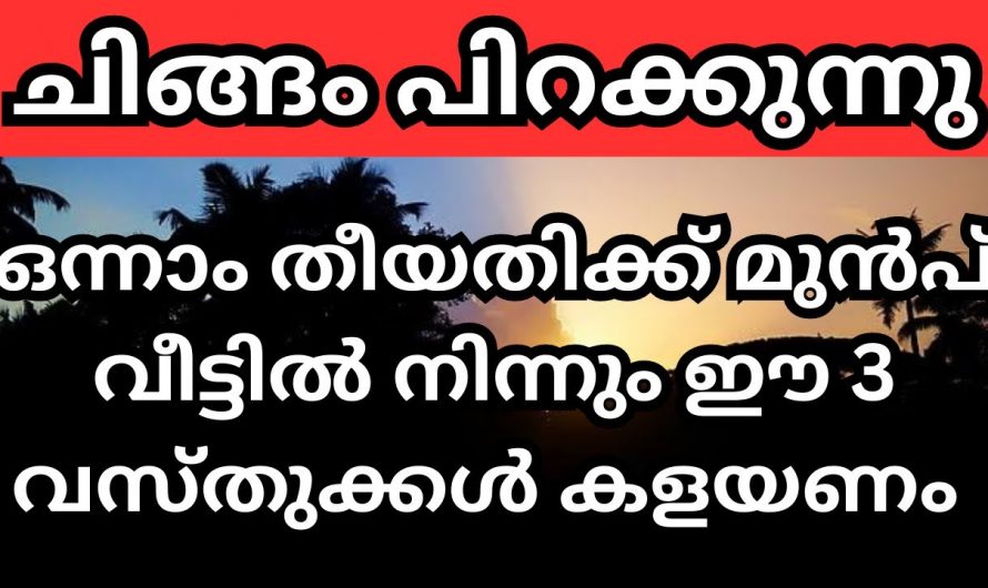 ഇത്തരം കാര്യങ്ങൾ ശ്രദ്ധിച്ചുകൊണ്ട് ചിങ്ങമാസപ്പുലരിയെ ഐശ്വര്യപൂർണ്ണമായി നമുക്ക് വരവേൽക്കാം.  കണ്ടു നോക്കൂ.