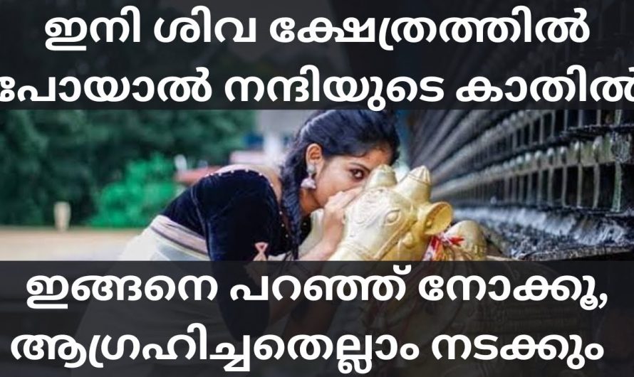 ക്ഷേത്രത്തിൽ പോകുമ്പോൾ ഭഗവാനോട് പ്രാർത്ഥിക്കുന്നതുപോലെ ഭഗവാന്റെ വാഹന പ്രതിഷ്ഠയോട് നാം പ്രാർത്ഥിക്കാറുണ്ടോ?. കണ്ടു നോക്കൂ.