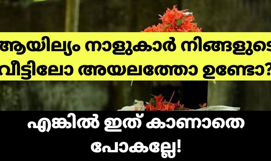 നാഗ ദൈവങ്ങളുമായി ബന്ധപ്പെട്ട് കിടക്കുന്ന ആയില്ല്യം നക്ഷത്രങ്ങളെ കുറിച്ച് നമുക്കറിയാം. കണ്ടു നോക്കൂ.