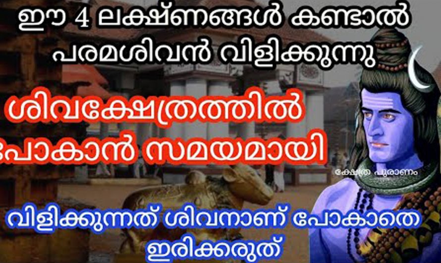 നിങ്ങളുടെ വീടുകളിൽ അടിക്കടി സർപ്പത്തെ കാണാറുണ്ടോ? ഇത് ഭഗവാൻ നമ്മിൽ കാണിക്കുന്ന ഒരു സൂചനയാണ് കണ്ടു നോക്കൂ.