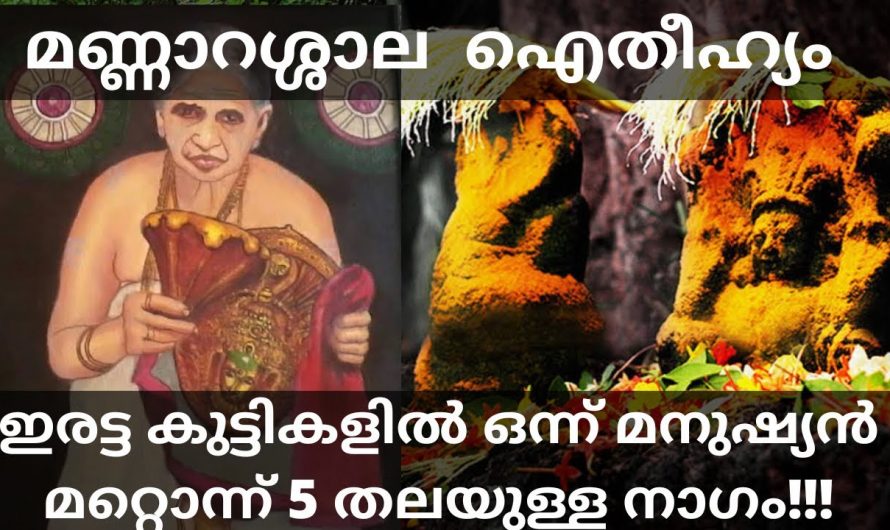 നാഗരാജാക്കളുടെ ക്ഷേത്രമായ മണ്ണാറശാലയെ കുറിച്ച് ഇതുവരെയും അറിയാതെ പോയല്ലോ ഈശ്വരാ.