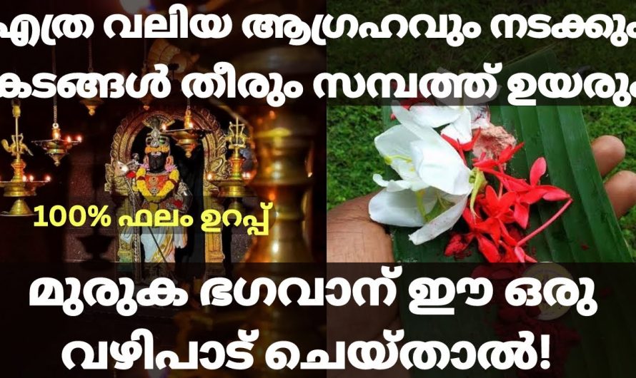 ഈ വഴിപാട് അർപ്പിക്കൂ.ജീവിതത്തിൽ സാധിക്കാത്ത ഒരു കാര്യവും ഇനി ഉണ്ടാവുകയില്ല. ഇതാരും അറിയാതെ പോകരുതേ.