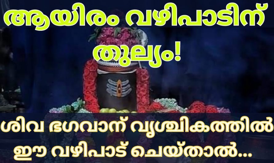 ഈ വഴിപാട് കഴിക്കുകയാണെങ്കിൽ ജീവിതത്തിൽ നേടാനായി ഇനി ഒന്ന് തന്നെ ഉണ്ടാവുകയില്ല. കണ്ടു നോക്കൂ.