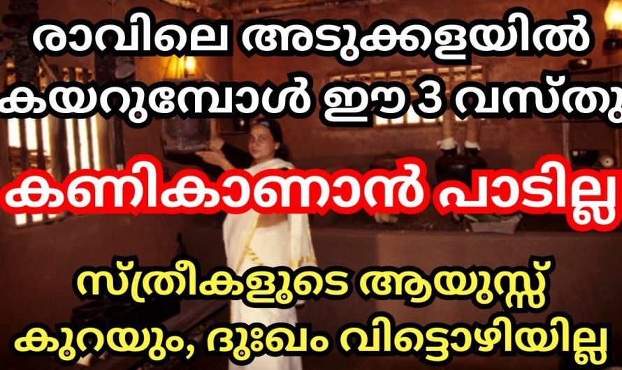 ഈ വസ്തുക്കൾ കണികണ്ടാണോ നിങ്ങൾ അടുക്കളയിലേക്ക് ദിവസവും പ്രവേശിക്കുന്നത് ? ഇതു വരുത്തി വയ്ക്കുന്ന ദോഷഫലങ്ങളെ കുറിച്ച് ആരും അറിയാതെ പോകരുതേ.