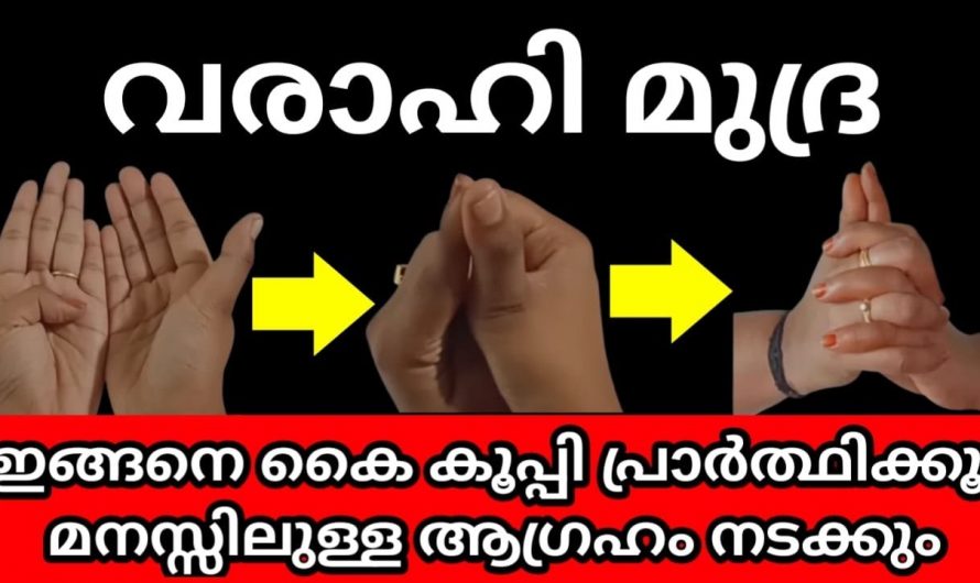 വരാഹി ദേവിയുടെ അനുഗ്രഹത്താൽ ജീവിതത്തിൽ ഒട്ടനവധി നേട്ടങ്ങൾ സ്വന്തമാക്കിയിട്ടുള്ള നക്ഷത്രക്കാരെ ഇതുവരെയും അറിയാതെ പോയല്ലോ ഈശ്വരാ.