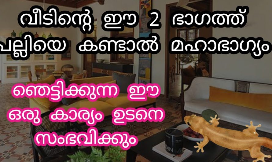 എപ്പോഴെങ്കിലും നിങ്ങളുടെ തലയിൽ പല്ലി വീണിട്ടുണ്ടോ? ഇതിന്റെ പിന്നിലെ സൂചനകളെ ആരും അറിയാതെ പോകരുതേ.