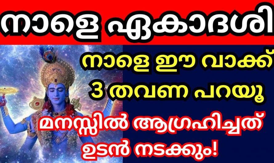 ഏഴ് ജന്മങ്ങളിൽ നാം ചെയ്തിട്ടുള്ള പാപങ്ങൾ ഇല്ലാതാകാൻ എടുക്കേണ്ട ഈ വൃതത്തെ ഇതുവരെയും അറിയാതെ പോയല്ലോ ഭഗവാനെ.