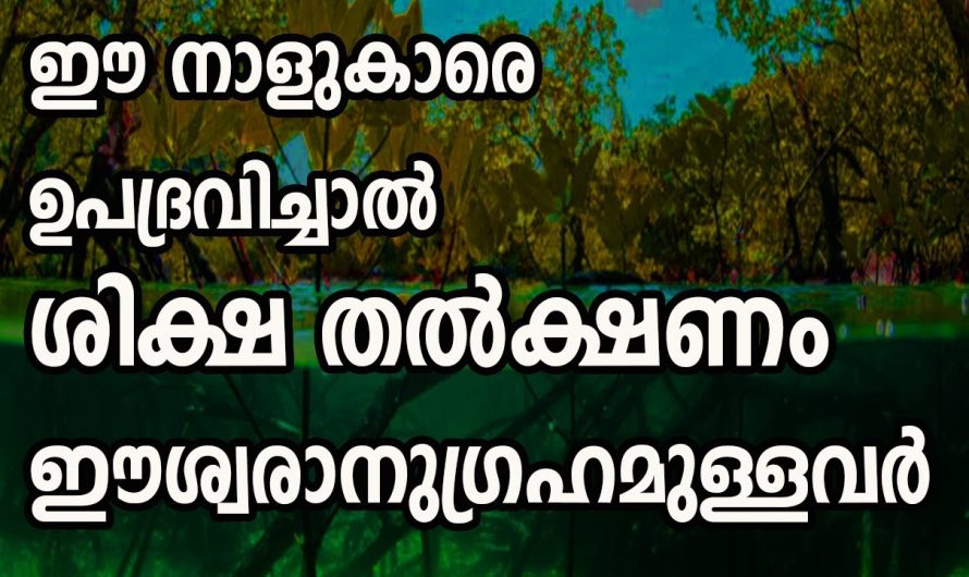 ഈശ്വരാനുഗ്രഹം നേരിട്ടുള്ള നക്ഷത്രക്കാരെ ഉപദ്രവിക്കുന്നവർക്ക് ദോഷഫലങ്ങൾ തീർച്ചയാണ്.  ഈ നക്ഷത്രക്കാരെ ആരും അറിയാതെ പോകല്ലേ.