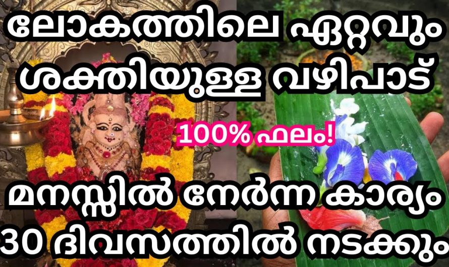 ജീവിതത്തിലെ എല്ലാ തടസ്സങ്ങളെയും ഇല്ലാതാക്കാൻ കഴിവുള്ള ഏറ്റവും ശക്തിയാർന്ന ഈ വഴിപാടിനെ കുറിച്ച് ഇതുവരെയും അറിയാതെ പോയല്ലോ ഭഗവാനെ.