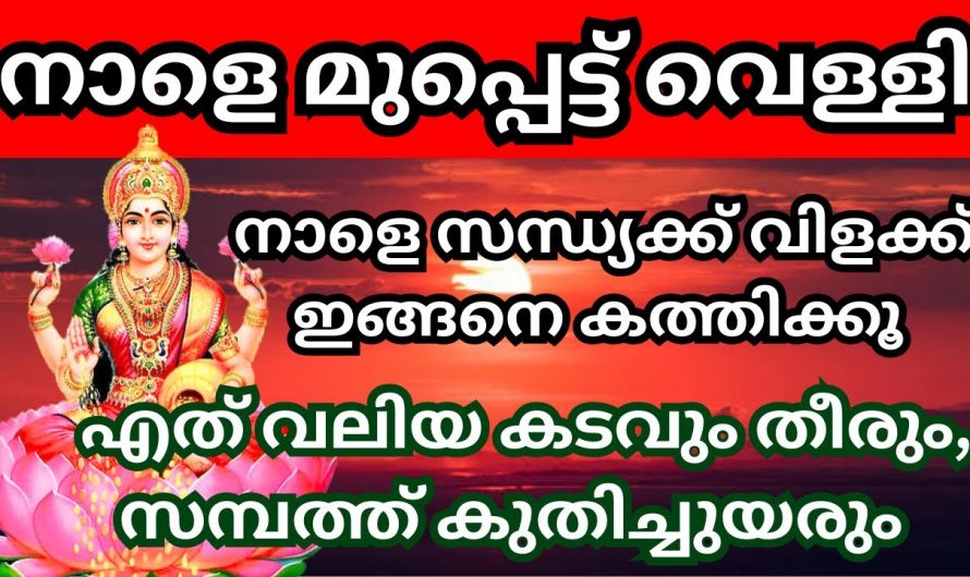 ജീവിതത്തിലെ എല്ലാ കടബാധ്യതകളും ദോഷങ്ങളും നീങ്ങുന്നതിന് അനുയോജ്യമായ ഈ ദിവസത്തെക്കുറിച്ച് ഇതുവരെയും അറിയാതെ പോയല്ലോ ഭഗവാനെ.