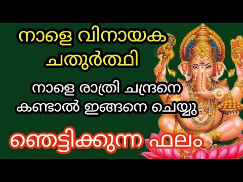 വിനായക ചതുർത്തി ദിവസം ഓരോരുത്തർക്കും ലഭിക്കുന്ന ഭഗവാന്റെ അനുഗ്രഹങ്ങളെ  ഇതുവരെയും അറിയാതെ പോയല്ലോ.