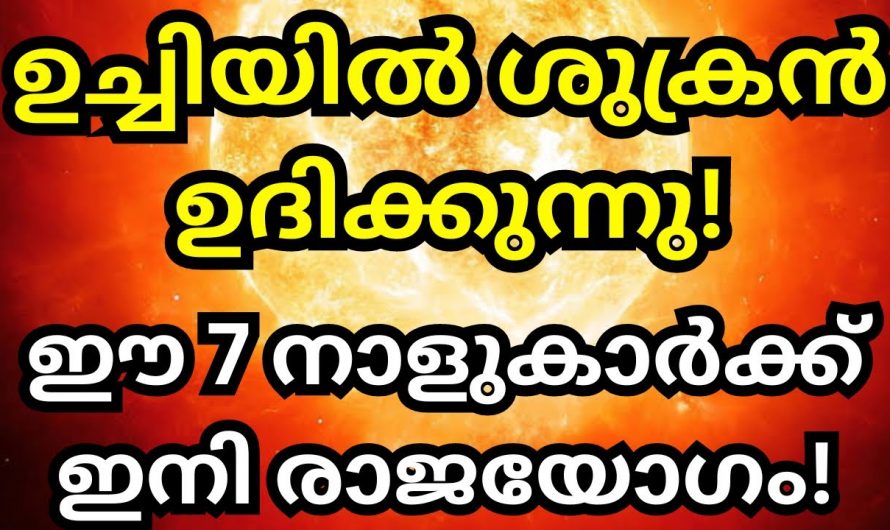 ജീവിതത്തിൽ രക്ഷ പ്രാപിക്കാൻ കഴിവുള്ള ഈ നക്ഷത്രക്കാരിൽ ഉണ്ടാകുന്ന നേട്ടങ്ങളെക്കുറിച്ച് ആരുo അറിയാതെ പോകല്ലേ.