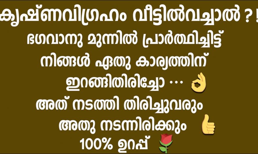 കൃഷ്ണവിഗ്രഹം വീടുകളിൽ സ്ഥാപിക്കുമ്പോൾ ഇത്തരം കാര്യങ്ങൾ തീർച്ചയായും ശ്രദ്ധിക്കേണ്ടതാണ്. ഇവയെ ആരും നിസ്സാരമായി കാണരുതേ.