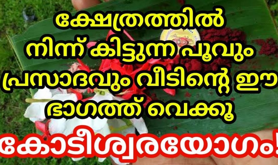 ക്ഷേത്രത്തിൽ നിന്ന് ലഭിക്കുന്ന പ്രസാദവും പൂക്കളും എല്ലാം അലക്ഷ്യമായി വയ്ക്കുന്നവരാണോ നിങ്ങൾ ? എങ്കിൽ തീർച്ചയായും ഇത് അറിയാതെ പോകരുതേ.