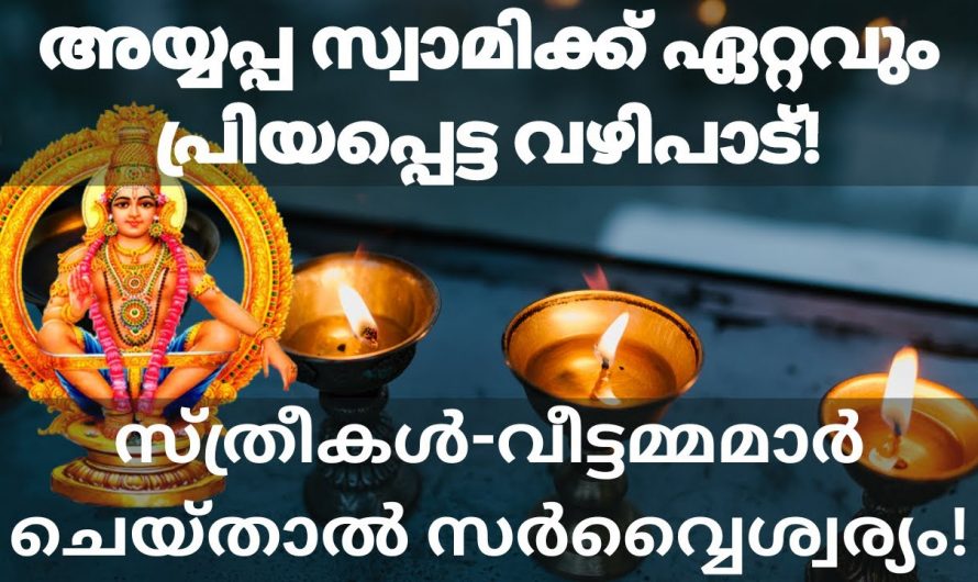 സ്ത്രീകൾ മണ്ഡലകാലത്ത് ചെയ്യേണ്ട ഈ വഴിപാടിനെ ഇതുവരെയും അറിയാതെ പോയല്ലോ ഈശ്വരാ.