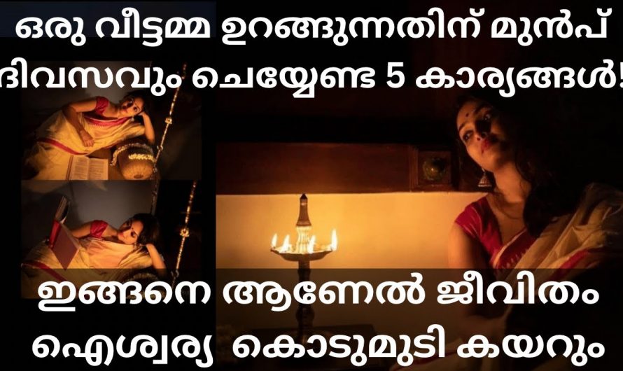 ഒരു വീട്ടമ്മ ഒരു കാരണവശാലും ചെയ്യാൻ പാടില്ലാത്ത ഇത്തരം തെറ്റുകളെ കുറിച്ച് ഇതുവരെയും അറിയാതെ പോയല്ലോ ഭഗവാനെ.