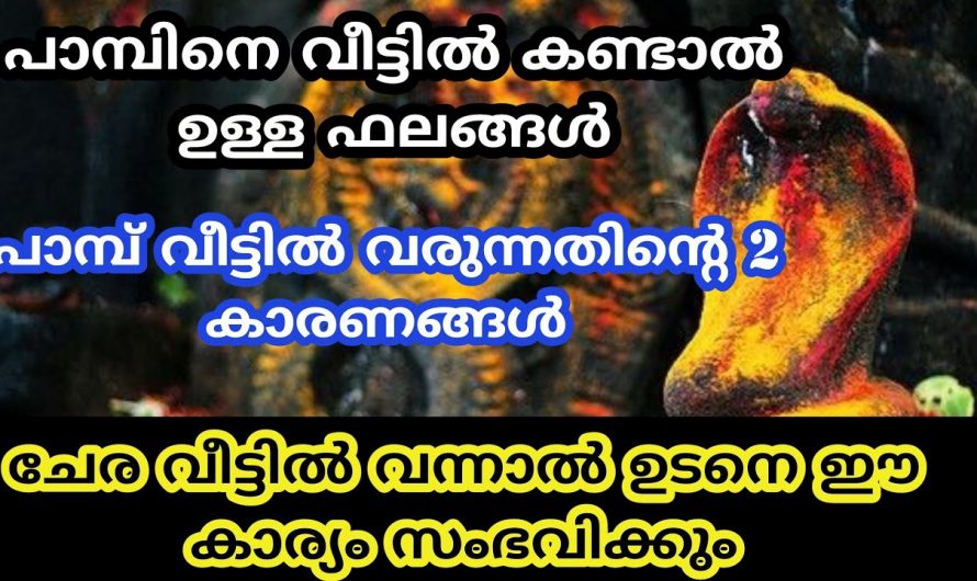 ഇടയ്ക്കിടെ വീടുകളിൽ പാമ്പുകളെ കാണാറുണ്ടോ? ഇത് തരുന്ന സൂചനകളെ ആരും അറിയാതെ പോകരുതേ.