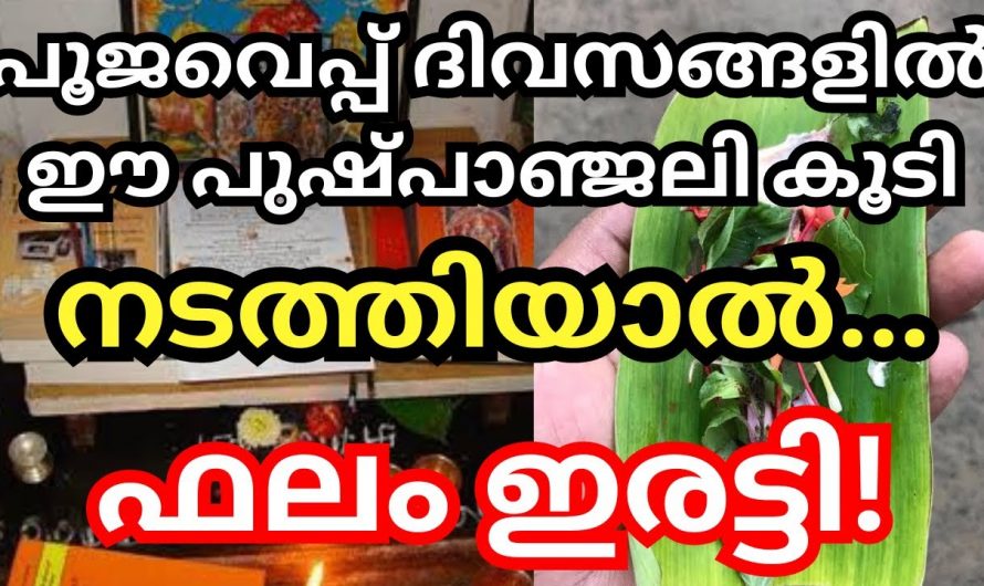 ഏറ്റവും ഫലപ്രസിദ്ധി ലഭിക്കുന്ന ഈ ദിനങ്ങളിൽ ഈ വഴിപാട് അർപ്പിക്കൂ. ഇതുവഴി ഉണ്ടാകുന്ന നേട്ടങ്ങളെ ആരും തിരിച്ചറിയാതെ പോകരുതേ.