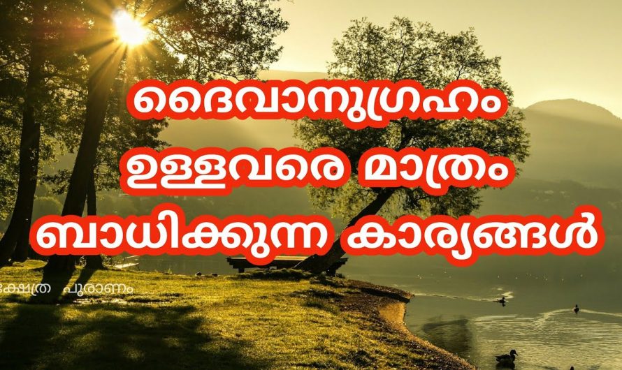 ദൈവാനുഗ്രഹം നേരിട്ടുള്ള വ്യക്തികളിൽ കാണുന്ന ഇത്തരം ലക്ഷണങ്ങളെ ഇതുവരെയും തിരിച്ചറിയാതെ പോയല്ലോ ഈശ്വരാ.