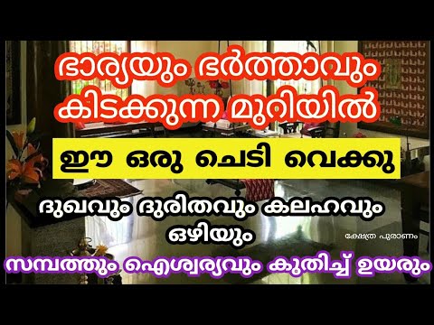 വീടുകളിൽ നിന്ന് കലഹവും ദുരിതവും പൂർണ്ണമായി ഒഴിയാൻ ഇത്തരം സസ്യങ്ങൾ നട്ടുപിടിപ്പിക്കൂ. ഇതാരും കാണാതെ പോകല്ലേ.