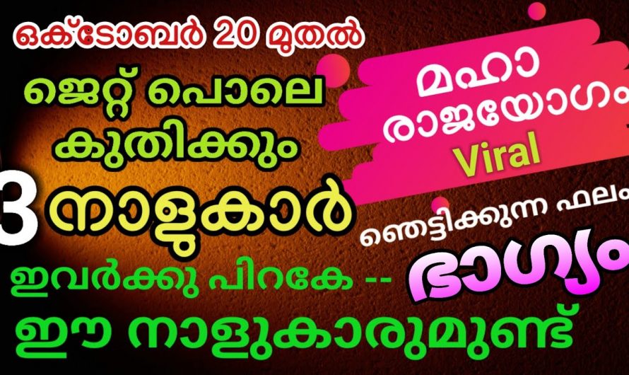 ഭാഗ്യം തുണച്ചിരിക്കുന്ന ഈ നക്ഷത്രക്കാർക്ക് ഉണ്ടാകുന്ന നേട്ടങ്ങളെ ആരും കാണാതെ പോകരുതേ.