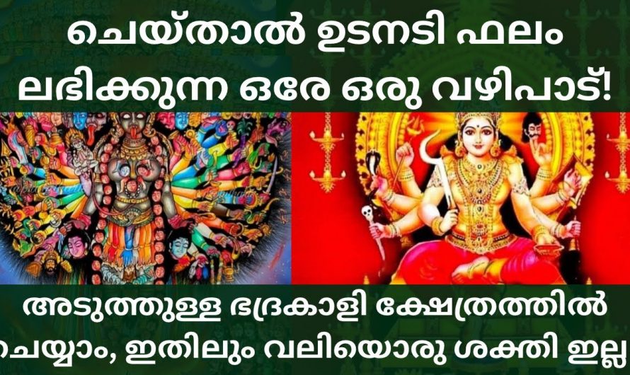 വഴിപാടുകളിൽ തന്നെ ഏറ്റവും ശക്തിയുള്ള ഈ വഴിപാടിനെ കുറിച്ച് ഇതുവരെയും അറിയാതെ പോയല്ലോ ഈശ്വരാ.