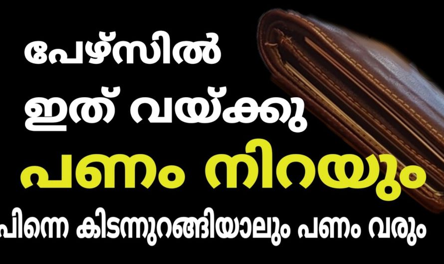 കാലിയായ പേഴ്സ് എപ്പോഴും നിറഞ്ഞിരിക്കാൻ ചെയ്യാവുന്ന ഇത്തരം കാര്യങ്ങളെക്കുറിച്ച് ഇതുവരെയും അറിയാതെ പോയല്ലോ ഭഗവാനെ.