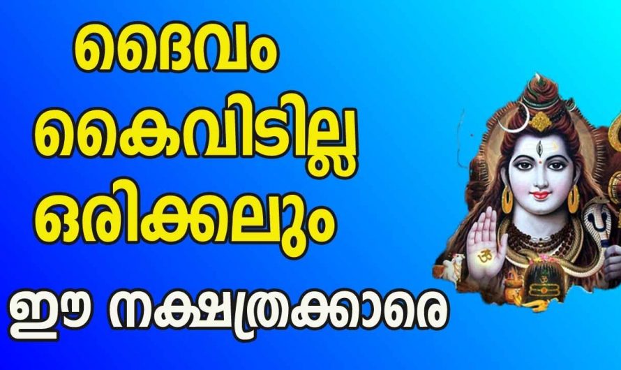 തൊടുന്നതെല്ലാം പൊന്നാക്കാൻ കഴിവുള്ള ഈ നക്ഷത്രക്കാരെ ഇതുവരെയും തിരിച്ചറിയാതെ പോയല്ലോ ഈശ്വരാ.