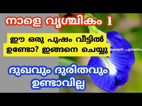 ഉദ്ദിഷ്ട കാര്യം സാധ്യമാകുന്നതിന് വേണ്ടി വൃശ്ചികമാസത്തിൽ ഇങ്ങനെ ചെയ്യൂ. ഇതാരും കാണാതെ പോകരുതേ.