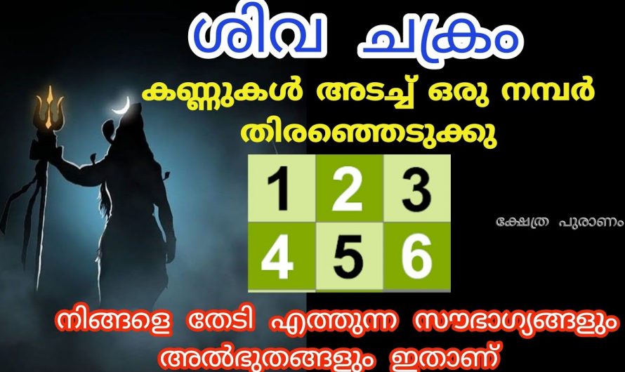 ശിവഭഗവാനിലൂടെ ജീവിതത്തിൽ വരാൻ പോകുന്ന കാര്യങ്ങൾ അറിയാൻ ഇത് കണ്ടു നോക്കൂ.