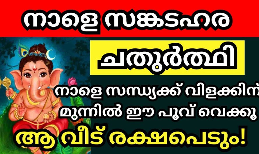 ഗണപതി ഭഗവാന്റെ അനുഗ്രഹവും സാമീപ്യവും ഉണ്ടാകുന്നതിനെ ചതുർത്തി ദിനത്തിൽ ഇങ്ങനെ ചെയ്യൂ. ഇതാരും കാണാതെ പോകല്ലേ.