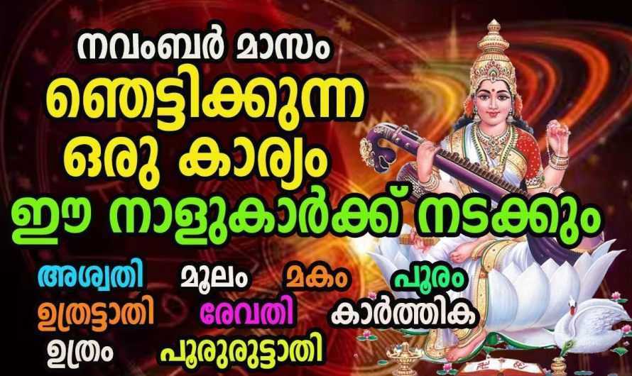 അത്ഭുതകരമായിട്ടുള്ള നേട്ടങ്ങൾ ജീവിതത്തിൽ സ്വന്തമാക്കാൻ കഴിയുന്ന ഈ നക്ഷത്രക്കാരെ കുറിച്ച് ആരും കാണാതെ പോകരുതേ.